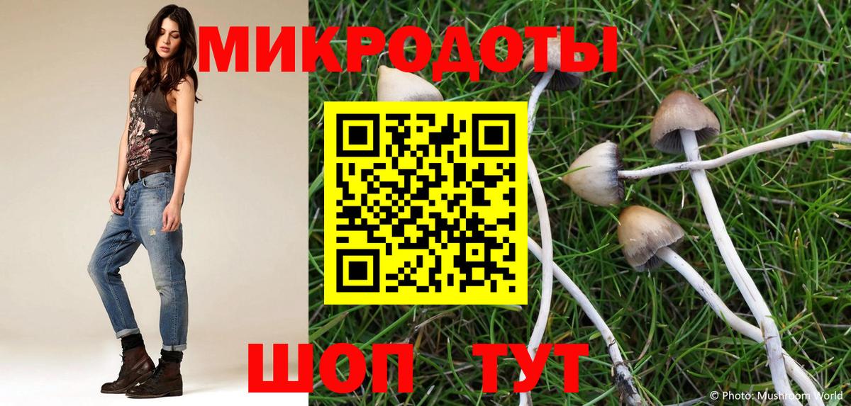 купить   Псилоцибиновые грибы MAGIC MUSHROOMS  Вход с VPN  Сальск 