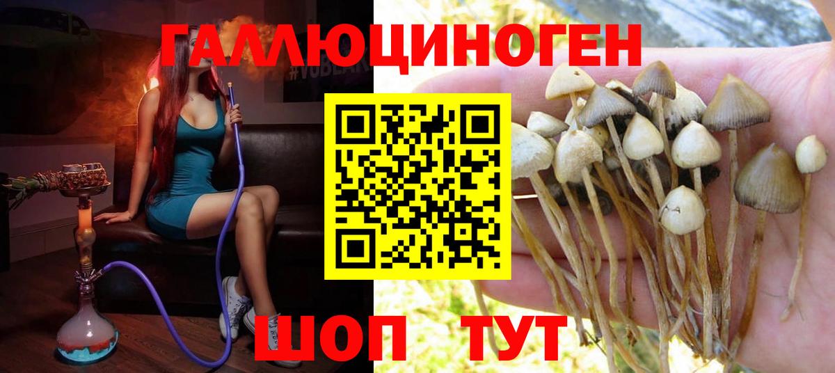 Галлюциногенные грибы GOLDEN TEACHER Сальск